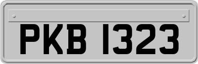 PKB1323