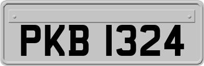 PKB1324