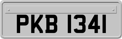 PKB1341