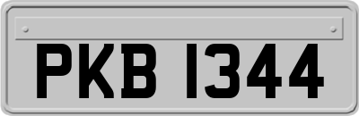 PKB1344
