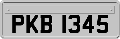 PKB1345