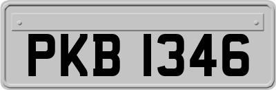 PKB1346