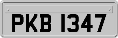 PKB1347