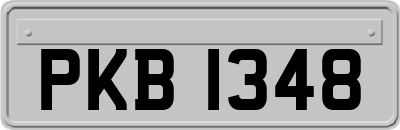 PKB1348