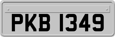 PKB1349