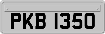 PKB1350