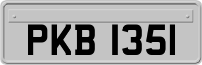 PKB1351