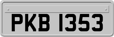 PKB1353