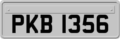 PKB1356