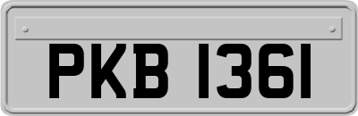 PKB1361