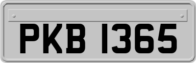 PKB1365