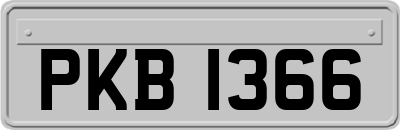 PKB1366