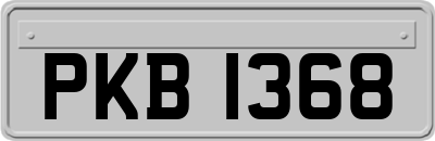 PKB1368
