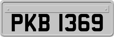 PKB1369