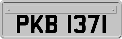 PKB1371