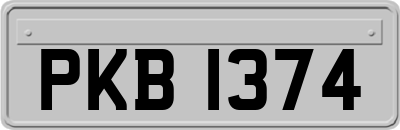 PKB1374