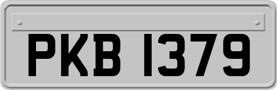 PKB1379