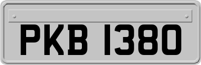 PKB1380
