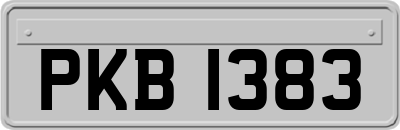 PKB1383