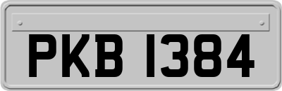 PKB1384