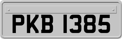 PKB1385