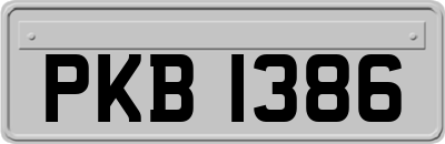 PKB1386