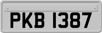 PKB1387