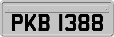 PKB1388