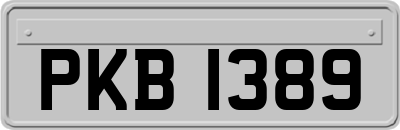 PKB1389