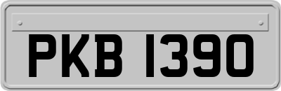 PKB1390