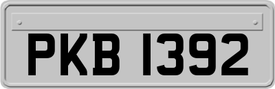 PKB1392