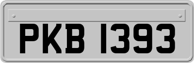 PKB1393
