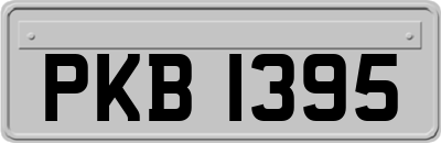 PKB1395
