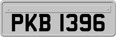 PKB1396