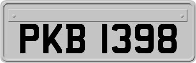 PKB1398