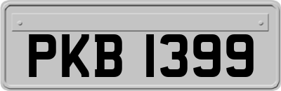 PKB1399