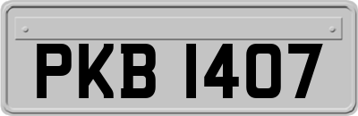 PKB1407