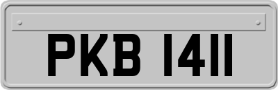 PKB1411