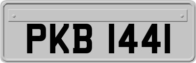 PKB1441