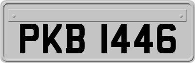 PKB1446