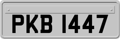 PKB1447