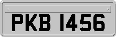 PKB1456