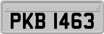 PKB1463
