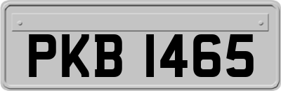 PKB1465