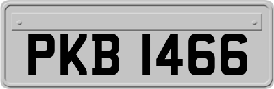 PKB1466