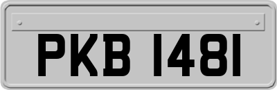 PKB1481