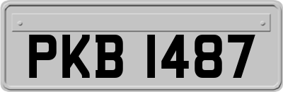 PKB1487