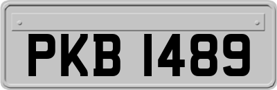 PKB1489