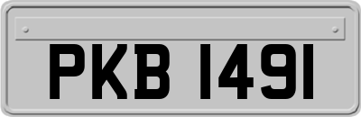 PKB1491