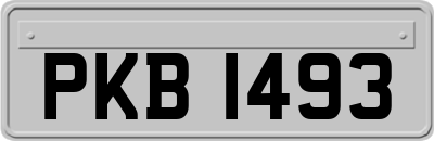 PKB1493